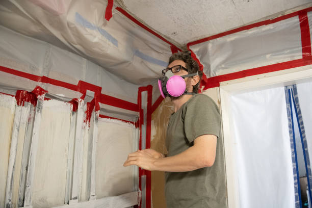 Professional Mold Removal in Roy, UT